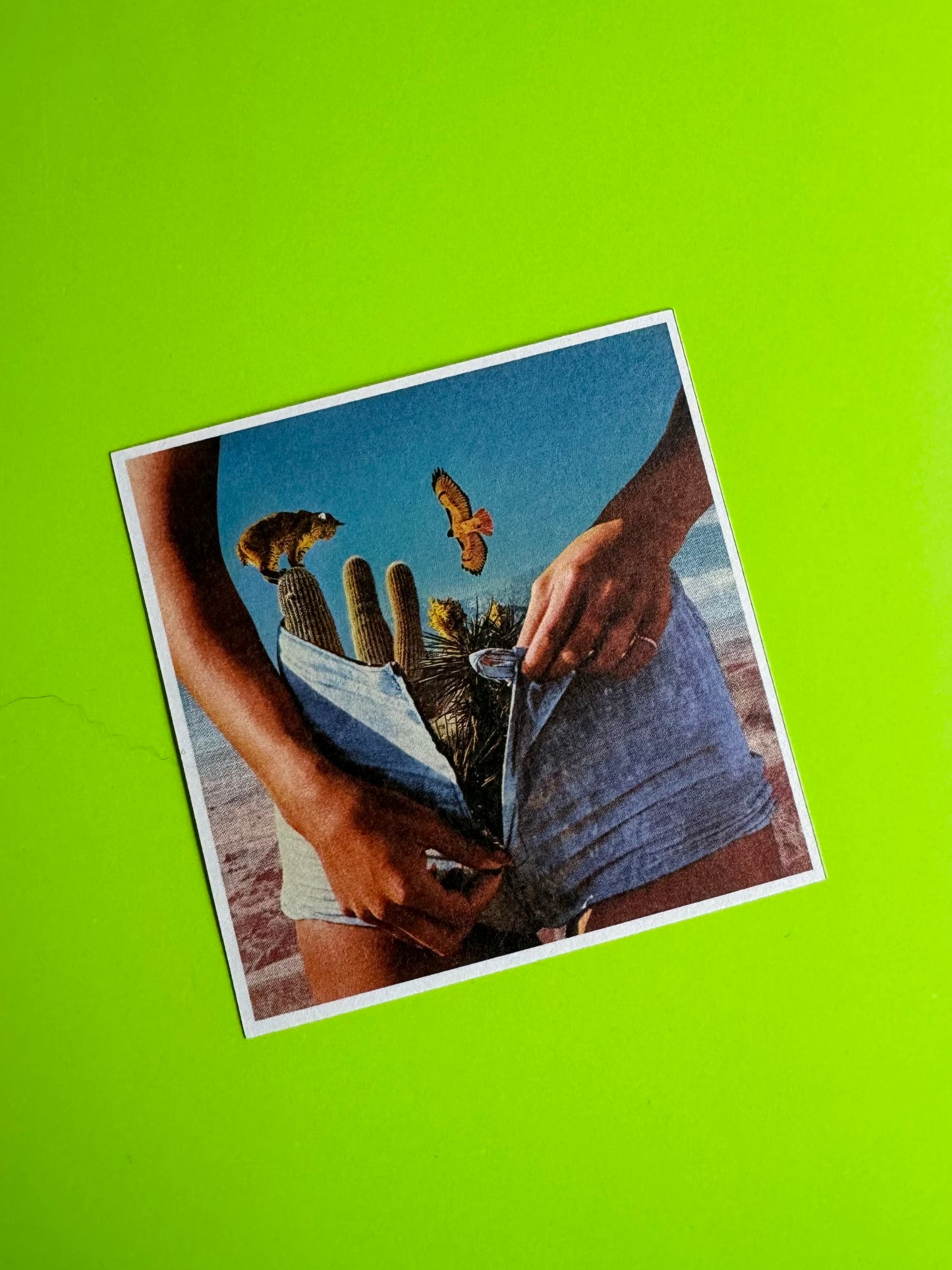 LIMITED EDITION SLIMESUNDAY STICKER PACK
